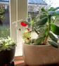 Fused Glass Flower Pot Stake: Hand-Cut Patio Planter Decoration - Image 9
