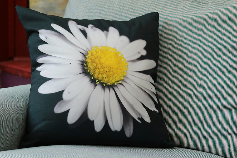 DAISY - CUSHION COVERS INSPIRED BY NATURE FROM LISA COCKRELL PHOTOGRAPHY
