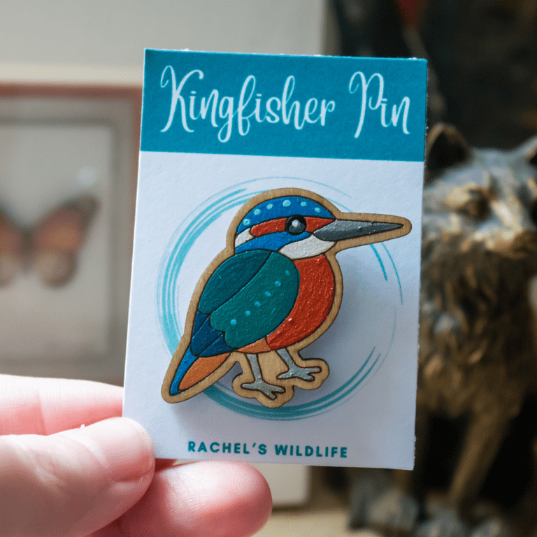 Hand-Painted Wooden Kingfisher Pin – Bird Lover Gift