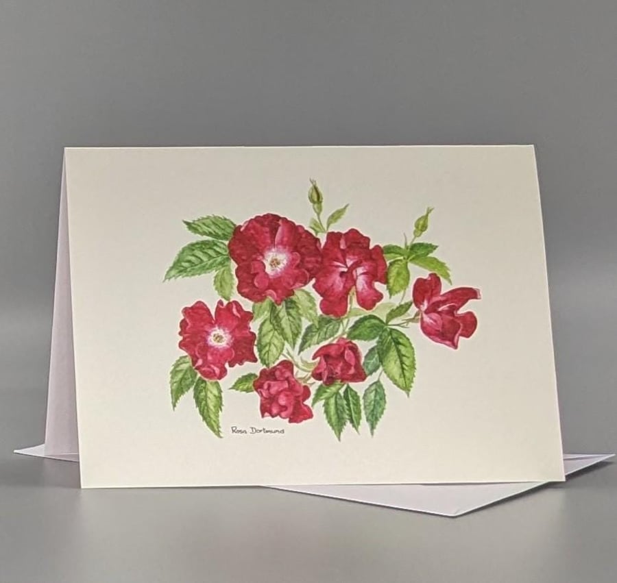 Red Rose greetings card.