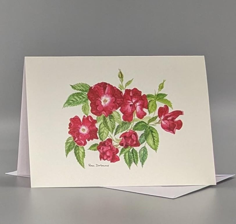 Red Rose greetings card.