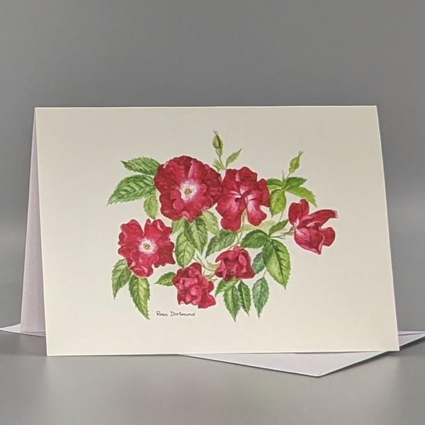 Red Rose greetings card.