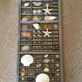 Seashell Upcycled Printer’s Tray