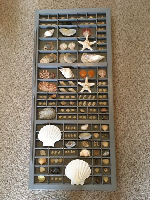Seashell Upcycled Printer’s Tray