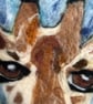 Cheeky giraffe handmade needle felted picture - Image 6