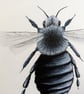 Ashy Mining Bee Original Acrylic Painting  - Image 2