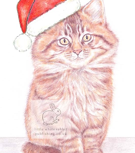 Moppet -  Christmas Hat Card