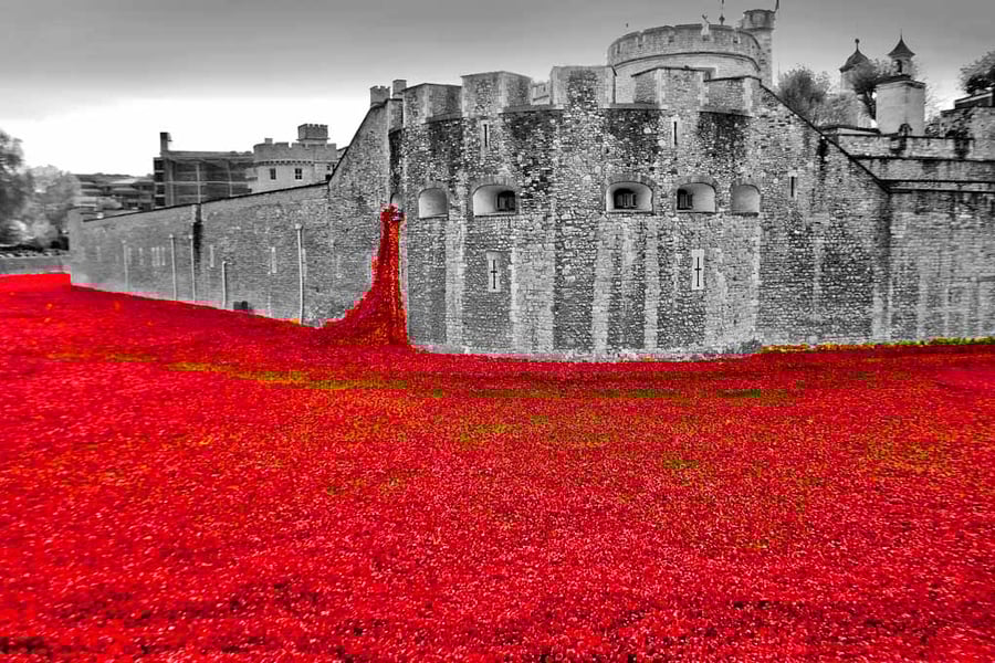 Tower Of London Red Poppies Poppy UK Photograph Print