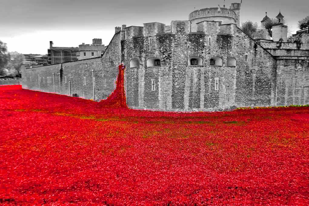 Tower Of London Red Poppies Poppy UK Photograph Print