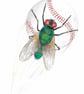 Fly Ball, Sport and a Fly. Original Painting - Image 1