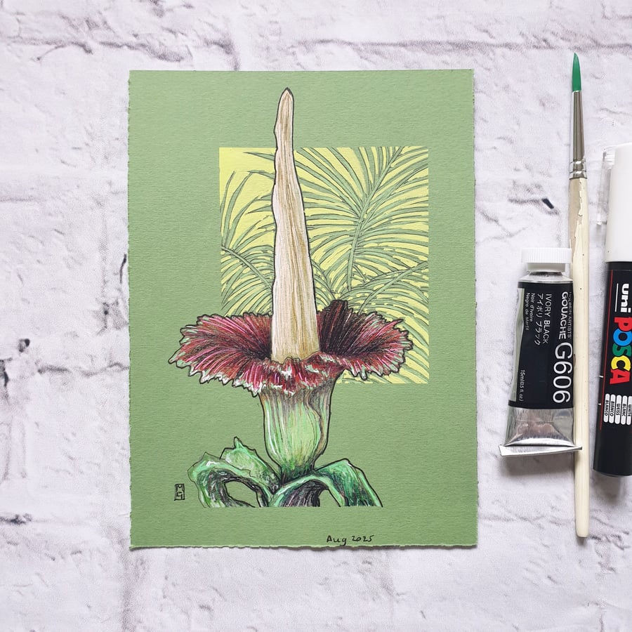 Titan Arum or Corpse Flower original drawing, small plant artwork