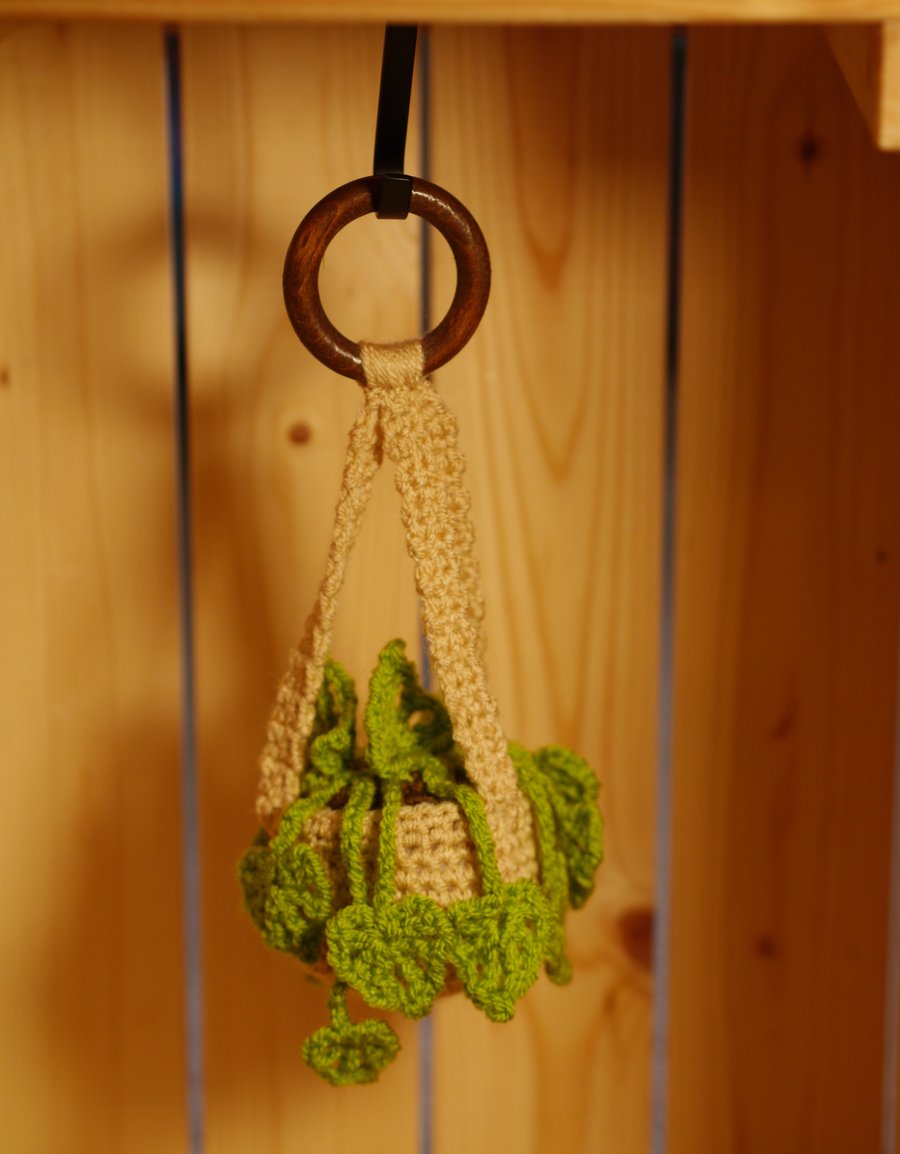 Hanging Crochet Plant