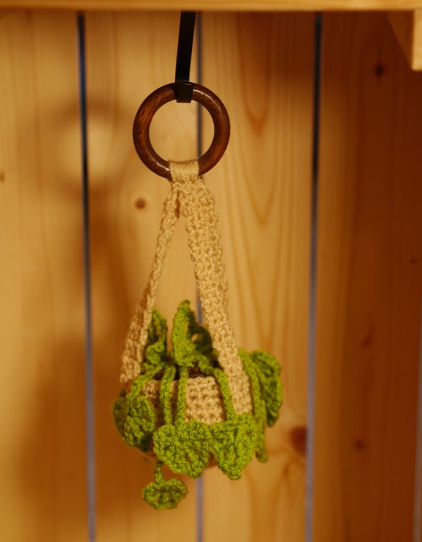 Hanging Crochet Plant