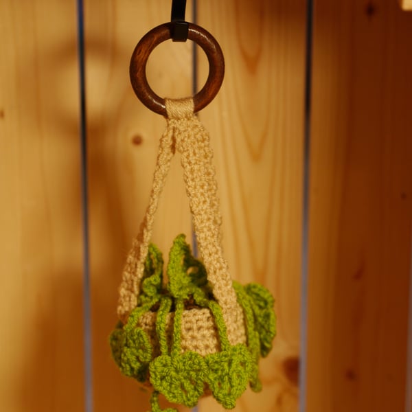 Hanging Crochet Plant