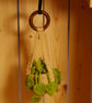 Hanging Crochet Plant - Image 1