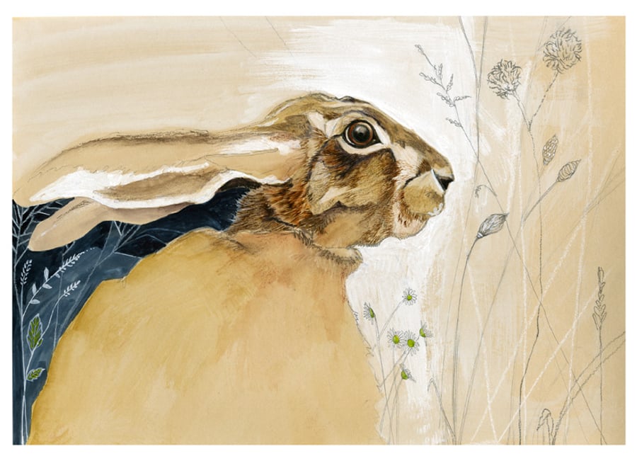 Hare A4 Giclee print of Baby Hare
