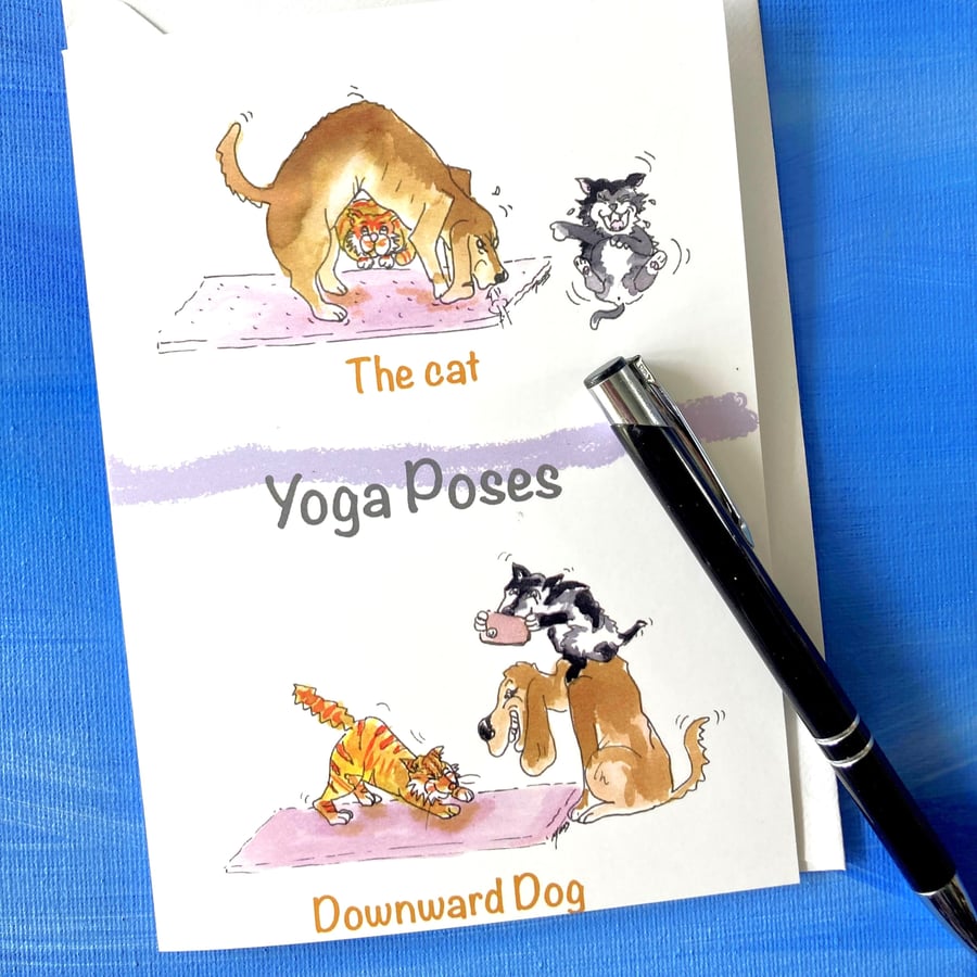 Yoga Poses Dog Cat