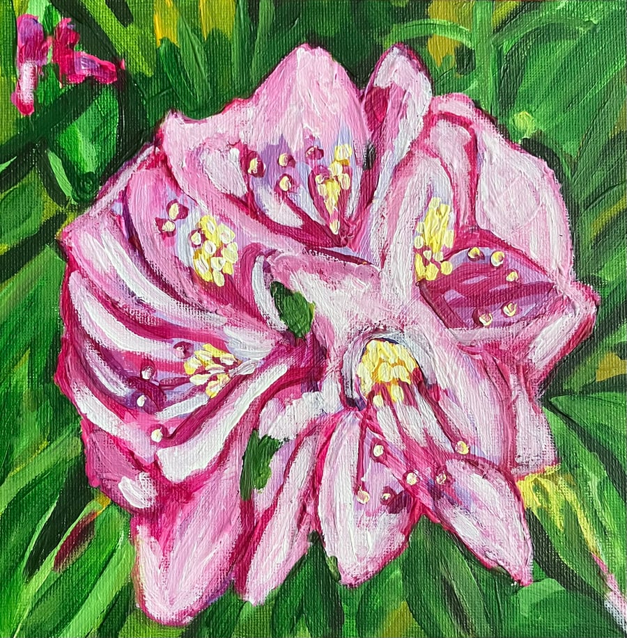 Rhododendron pink flower painting 