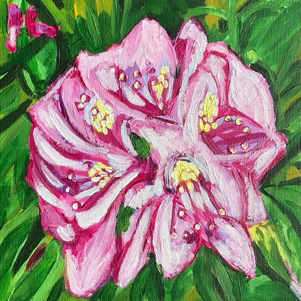 Rhododendron pink flower painting 