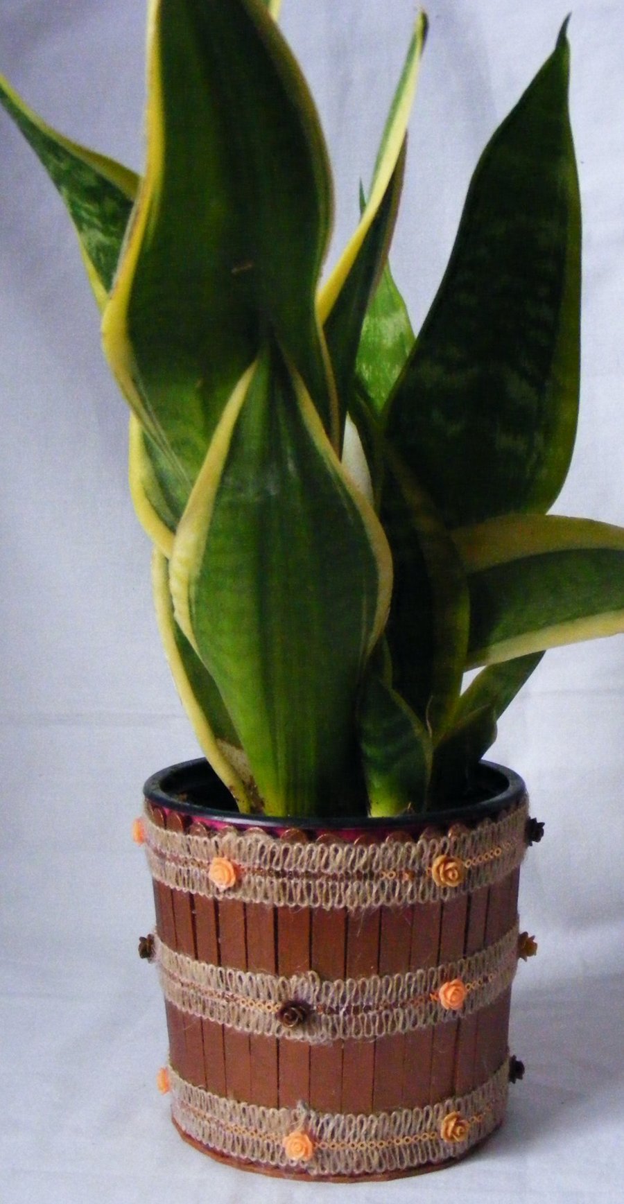 Handmade metallic brown indoor plant pot holder