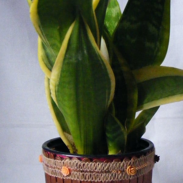 Handmade metallic brown indoor plant pot holder