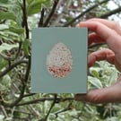 Robin egg - original acrylic painting