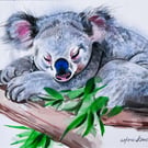 Koala Watercolour Painting – Original Still Life – Fun & Delightful