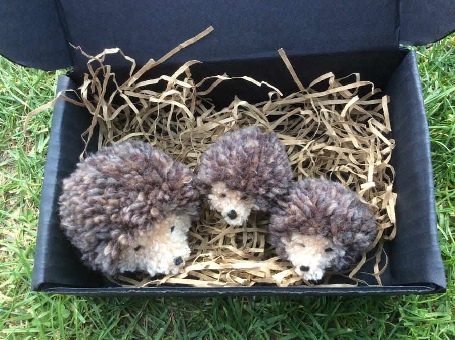 Mummy and two baby Pom Pom Hedgehogs