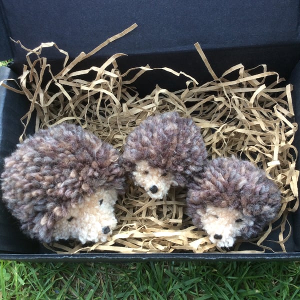 Mummy and two baby Pom Pom Hedgehogs