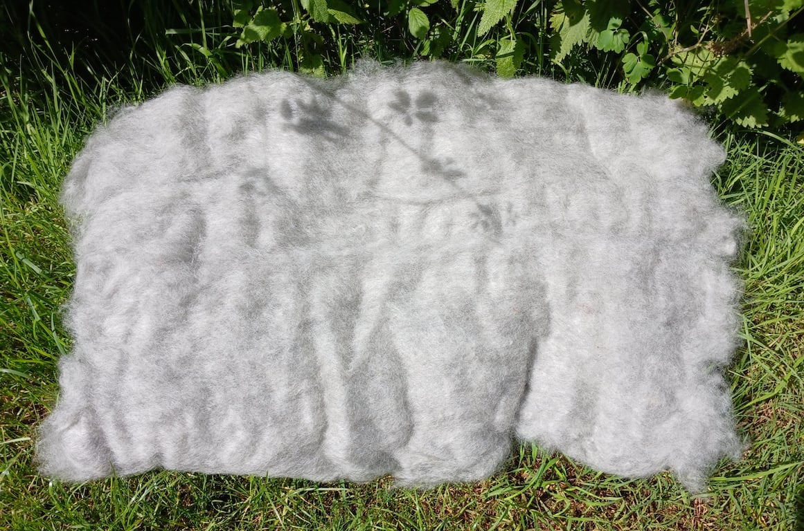 Gotland Fleece Carded Batt 