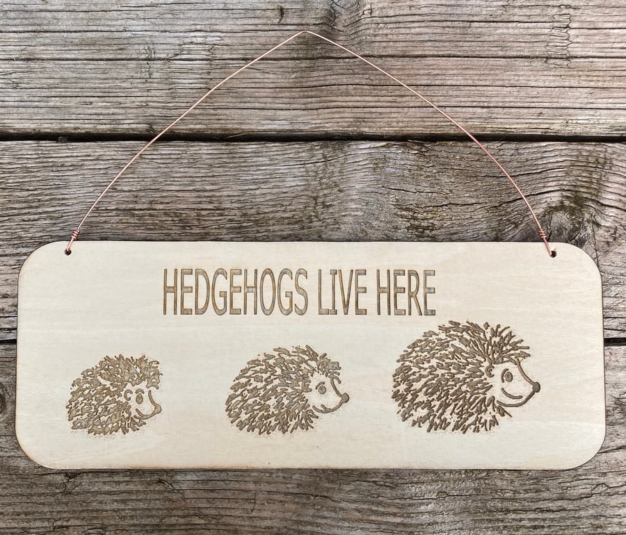 Hedgehog wooden sign with copper hanging wire 