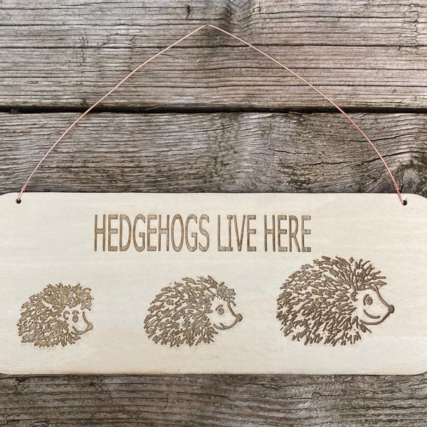 Hedgehog wooden sign with copper hanging wire 