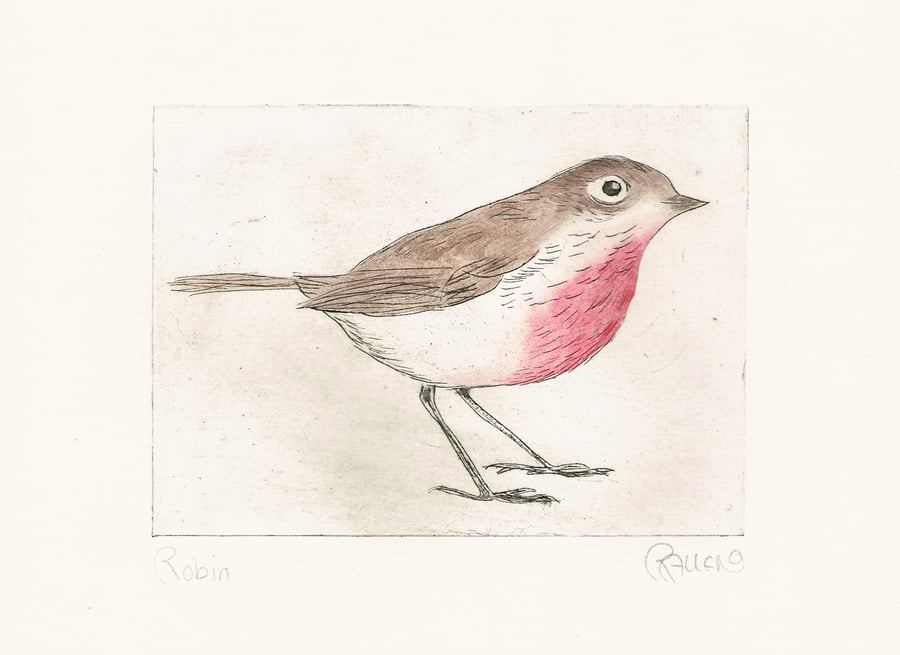 Hand coloured red robin dry point etching print