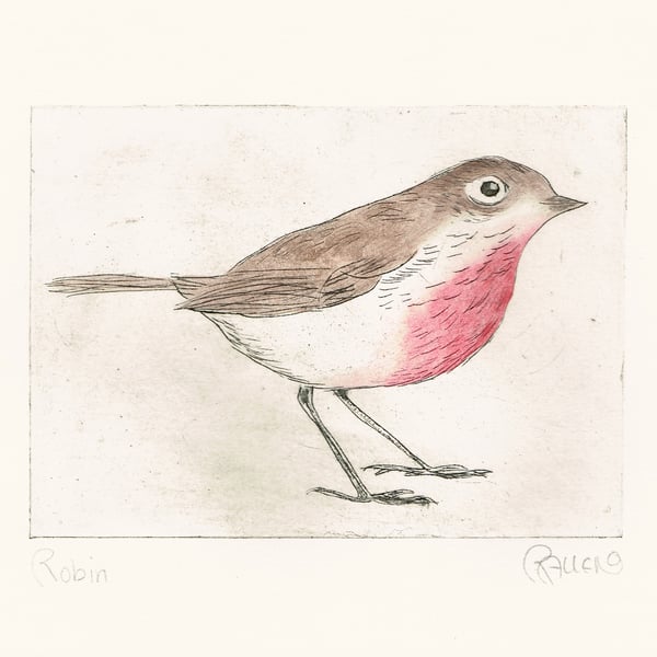 Hand coloured red robin dry point etching print