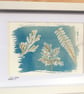 Embrodered fern cyanotype print