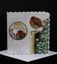Robin on Post Christmas Card
