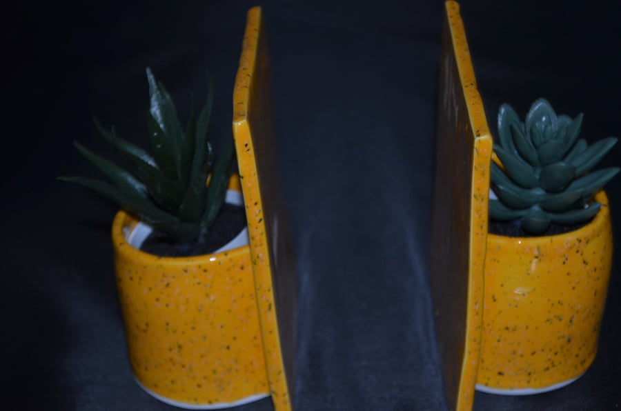 bookends summer sale