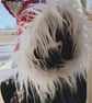 Fox Hood - Image 5