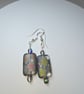 Clear matt peacock rectangular earrings - Image 1