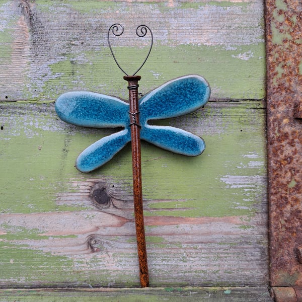 Dragonfly 