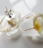 Real Daisy Earrings in Resin - Image 3