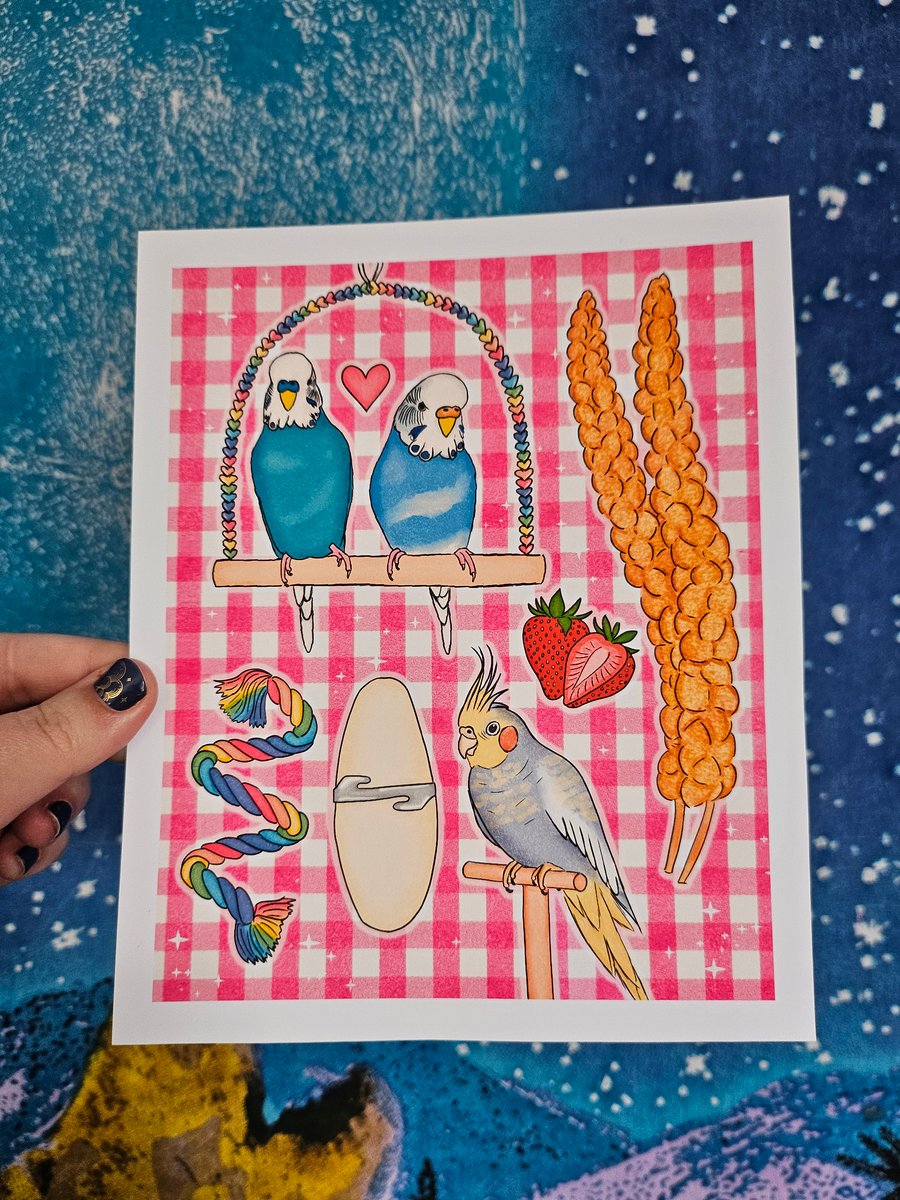 Budgies and Cockatiels - Art Print - Pet Birds - Bird Parent