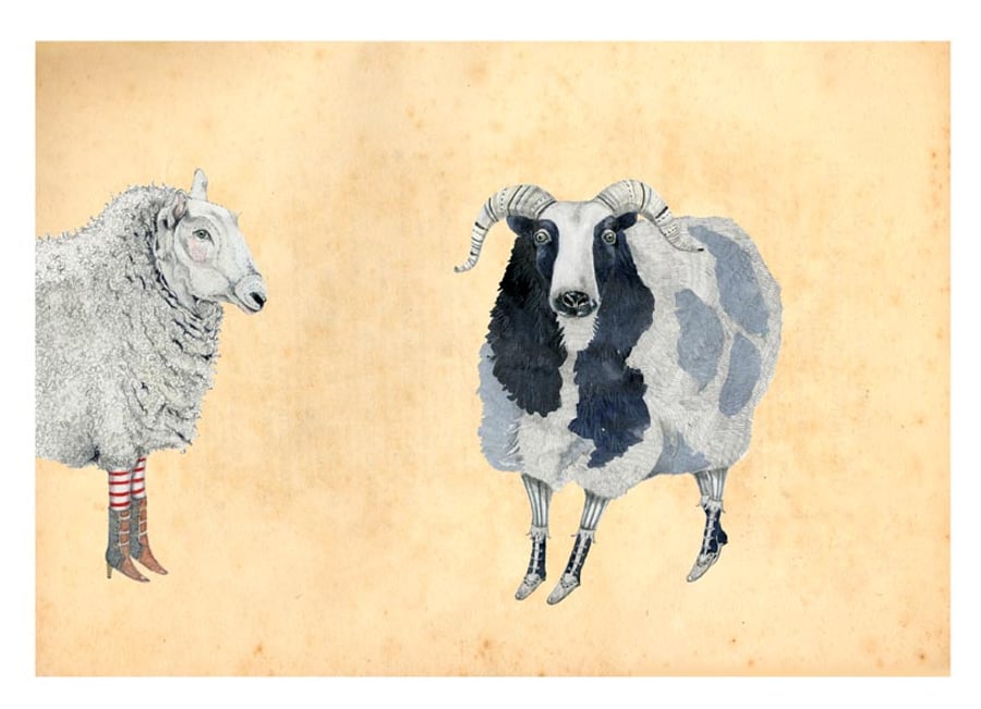 Print Sheep A4 Giclee illustration print