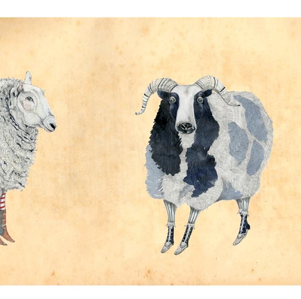 Print Sheep A4 Giclee illustration print