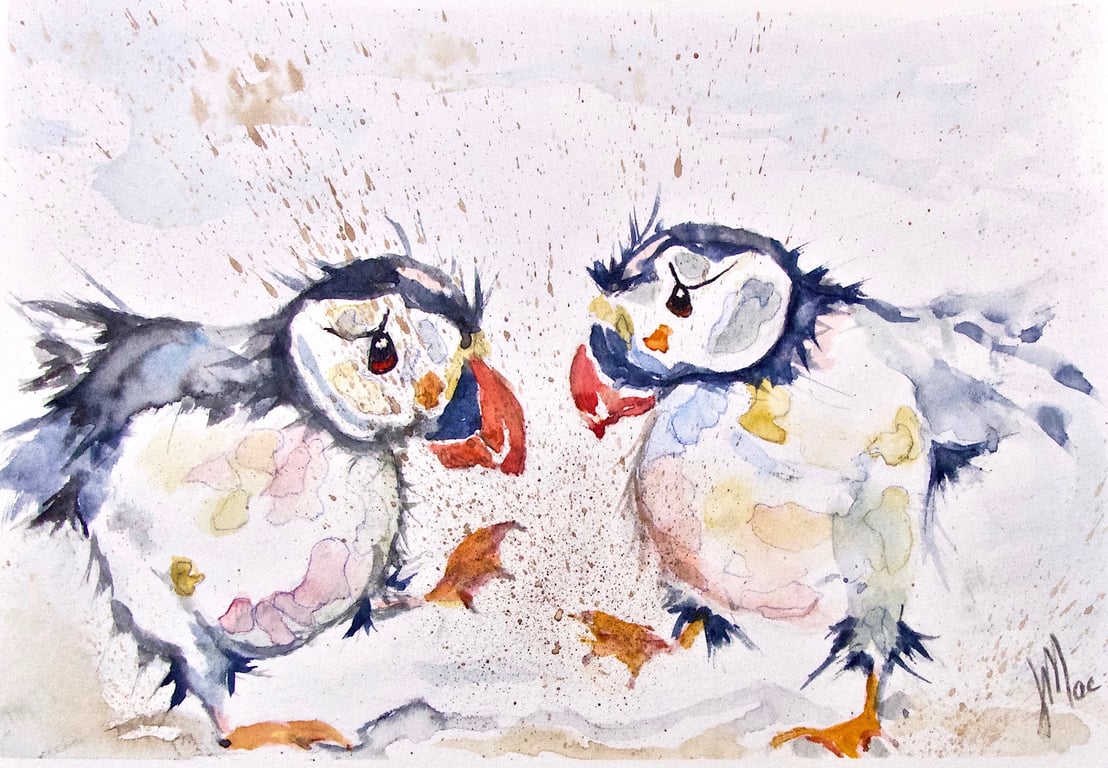 jmacartandphotography