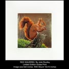 'Red Squirrel' - Limited Edition Print