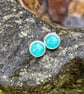 Amazonite stud earrings , sterling silver
