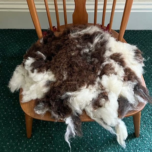 Natural wool felted seat-pad and or a mat for a cat or a small dog  