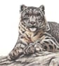 Snow Leopard Original Coloured Pencil Drawing - Image 2