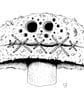 The Silenced Mushroom – A Haunting Hand-Drawn Reflection in Black & White A5 - Image 2